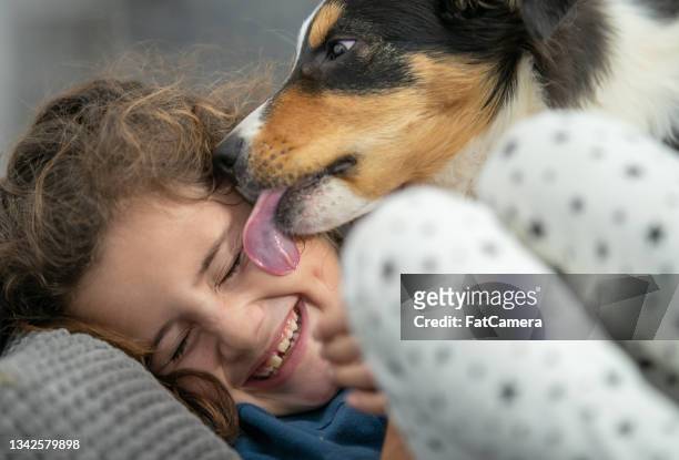 girl getting kisses from her dog - dog licking face stockfoto's en -beelden