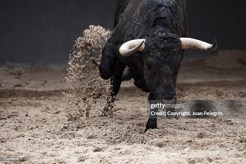 Bull pens scratching in Sales