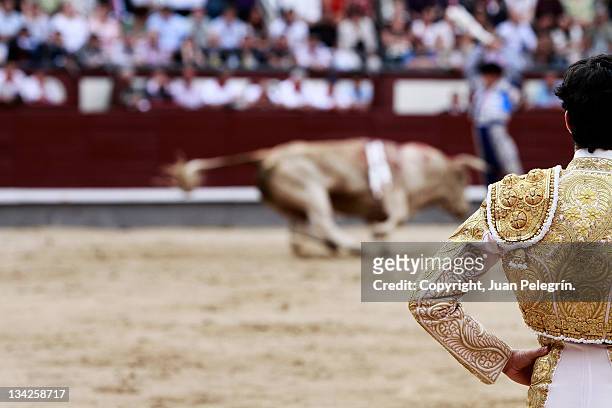 banderillas - bullfighter stock-fotos und bilder