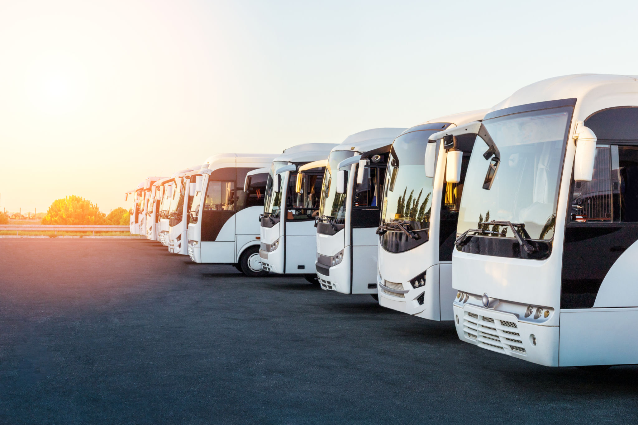 luxury bus booking