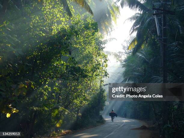 cyclist on road - goa - fotografias e filmes do acervo