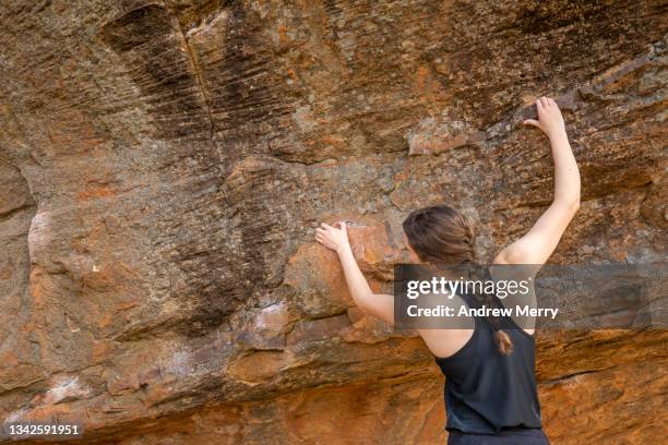 woman rock climbing on sandstone cliff wall, rock face - over the shoulder view stockfoto's en -beelden