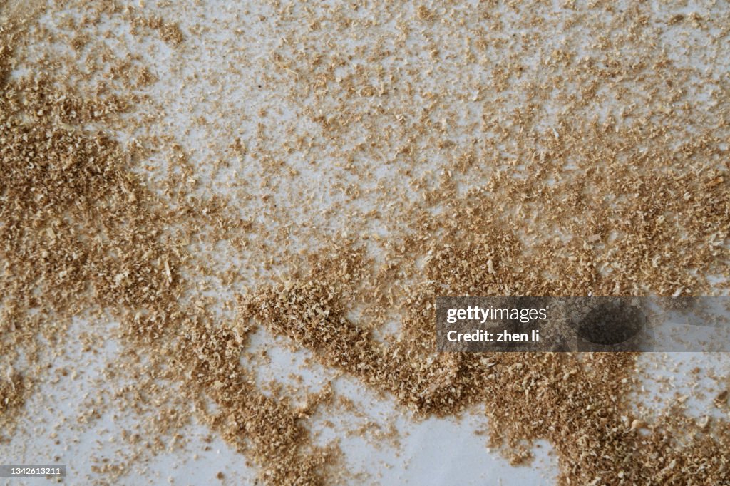 Sawdust Scattered