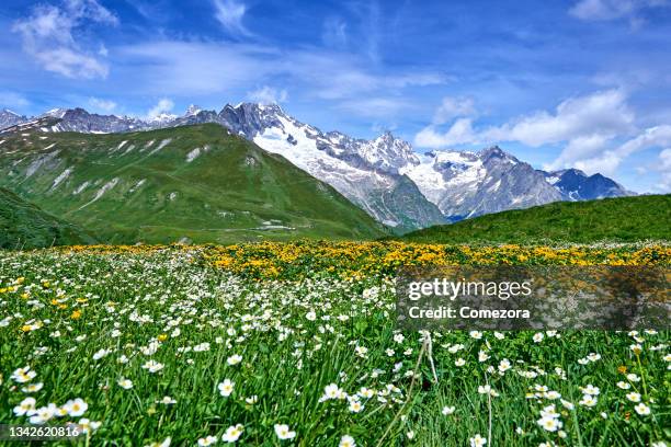 central swiss alps's valley at springtime - swiss alps photos et images de collection