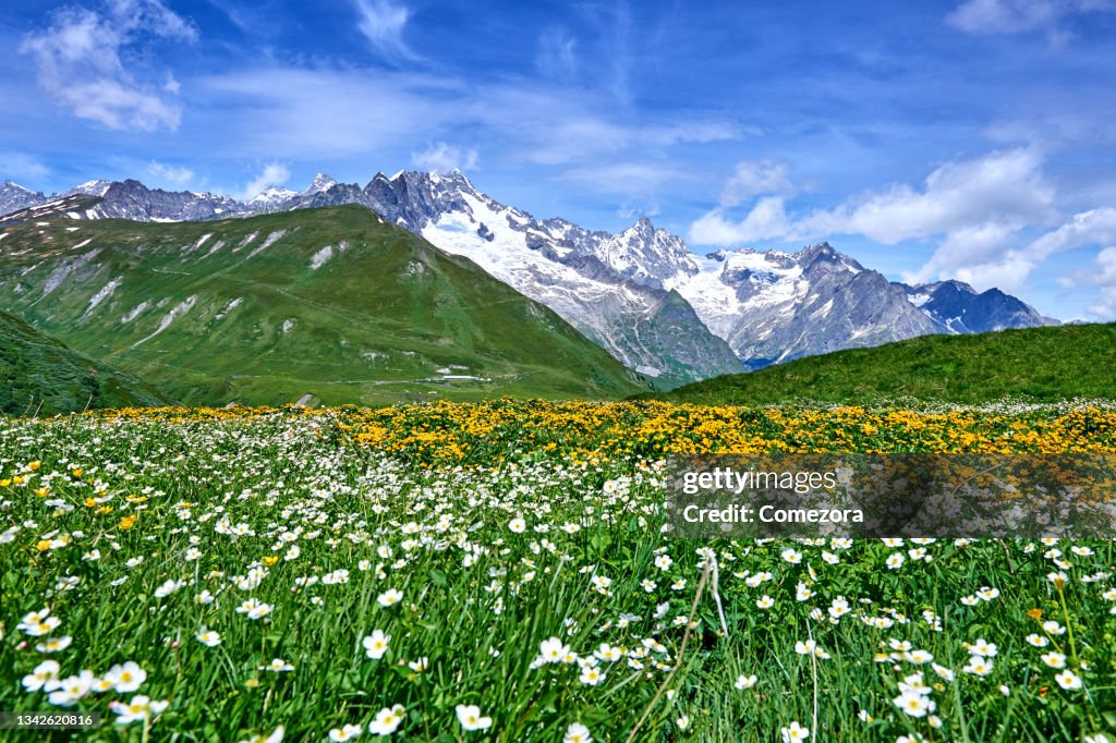 Central Swiss Alps's Valley at Springtime