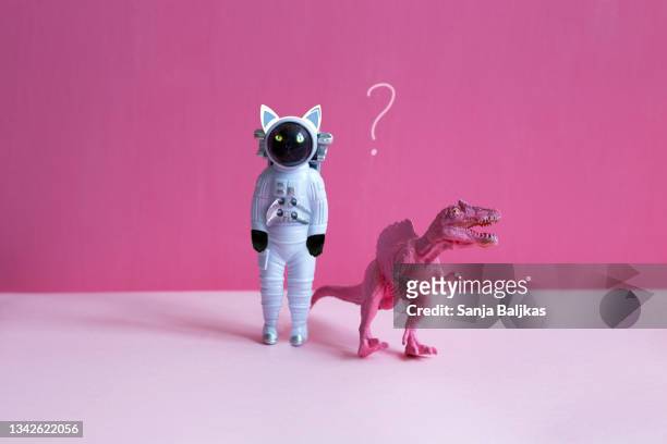 astronaut cat - fantasy portrait bildbanksfoton och bilder