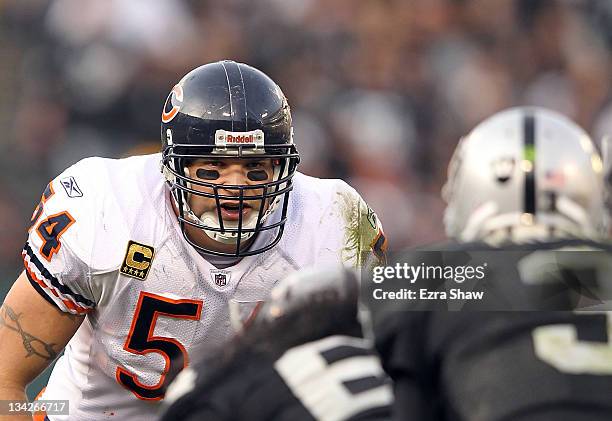 Brian Urlacher of the Chicago Bears in action against the Oakland Raiders at O.co Coliseum on November 27, 2011 in Oakland, California.