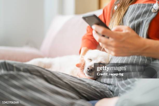 woman using smart phone and listening to music with her dog in living room at home - music room stockfoto's en -beelden