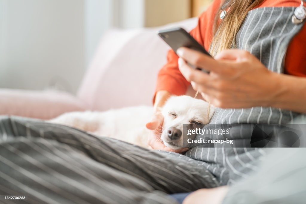 Woman using smart phone and listening to music with her dog in living room at home