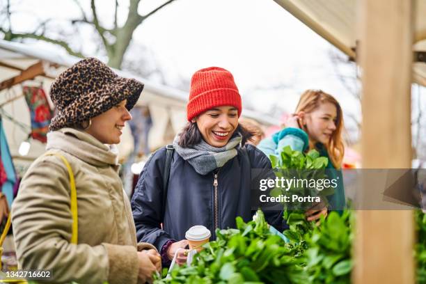 donne che acquistano verdure al mercato in un giorno d'inverno - winter vegetables foto e immagini stock