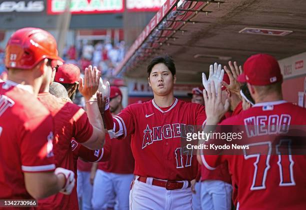 Shohei Ohtani of the Los Angeles Angels high-fives teammates in the dugout after hitting a two-run home run during the ninth inning of a baseball...