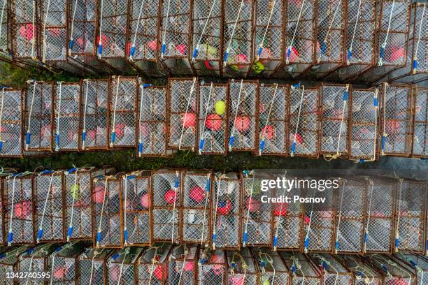 king crab fishing pots in dutch harbor - unalaska stock-fotos und bilder