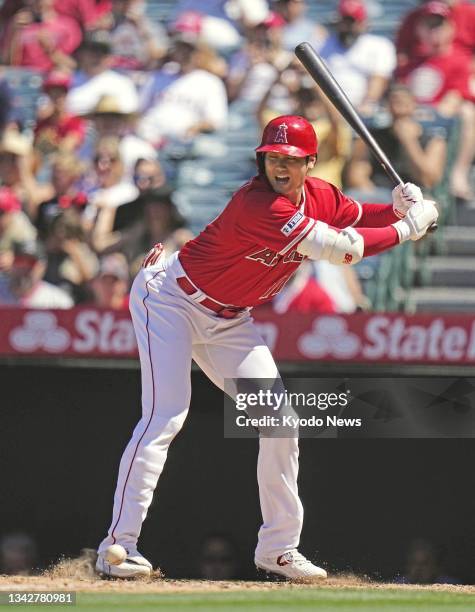 Shohei Ohtani of the Los Angeles Angels reacts to a pitch that landed near his foot during the seventh inning of a baseball game against the Chicago...