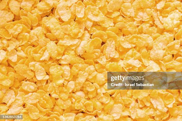 extreme close-up view of a plate of ready-to-eat cereals - corn flakes ストックフォトと画像