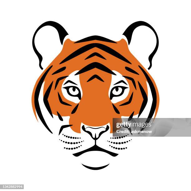 tiger head - tiger print stock illustrations