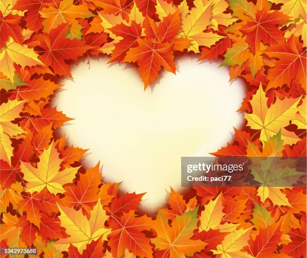 autumn heart - maple leaf heart stock illustrations