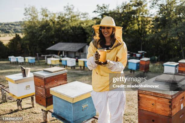 checking the hives - bee keeper stock pictures, royalty-free photos & images