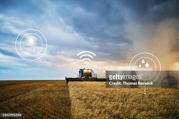 wide shot of combine cutting row of wheat with storm clouds in background during harvest on summer evening with weather and communication illustration overlay - economic opportunity stock pictures, royalty-free photos & images