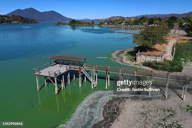 In an aerial view, blooms of cyanobacteria, also called blue-green algae, turn the water green in Clear Lake at Redbud Park on September 26, 2021 in...