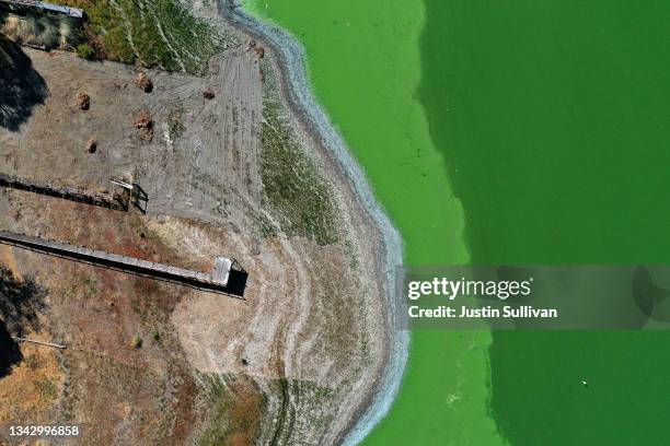 In an aerial view, blooms of cyanobacteria, also called blue-green algae, turn the water green in Clear Lake at Redbud Park on September 26, 2021 in...