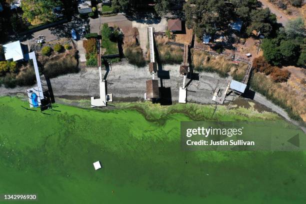 In an aerial view, blooms of cyanobacteria, also called blue-green algae, turn the water green in Clear Lake on September 26, 2021 in Lower Lake,...