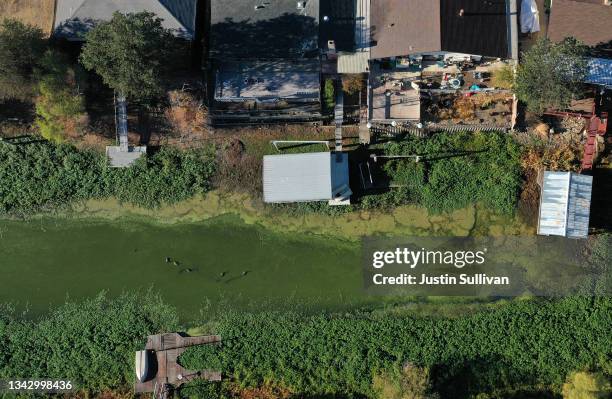 In an aerial view, blooms of cyanobacteria, also called blue-green algae, turn the water green in the Clear Lake Keys on September 26, 2021 in...