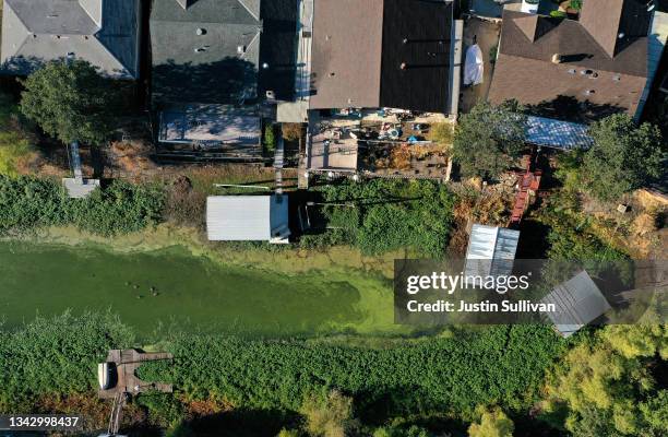 In an aerial view, blooms of cyanobacteria, also called blue-green algae, turn the water green in the Clear Lake Keys on September 26, 2021 in...