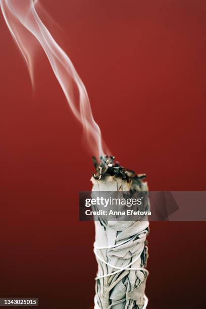 smoldering white sage with smoke on red background. process of room fumigation ritual. copy space for your design. front view and close-up - burning sage stock pictures, royalty-free photos & images