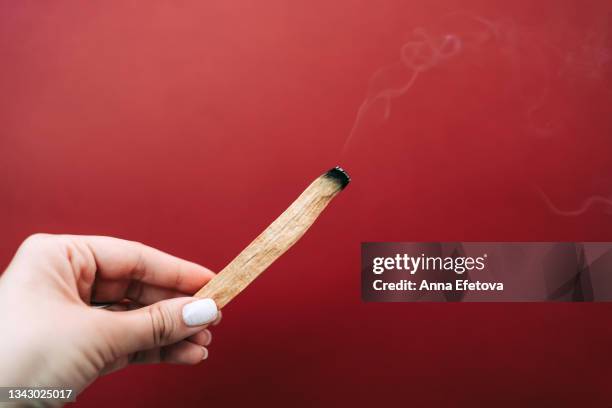 woman is holding in a hand smoldering palo santo stick with smoke on red background. process of room fumigation ritual. copy space for your design. front view - smudging ceremony stock pictures, royalty-free photos & images