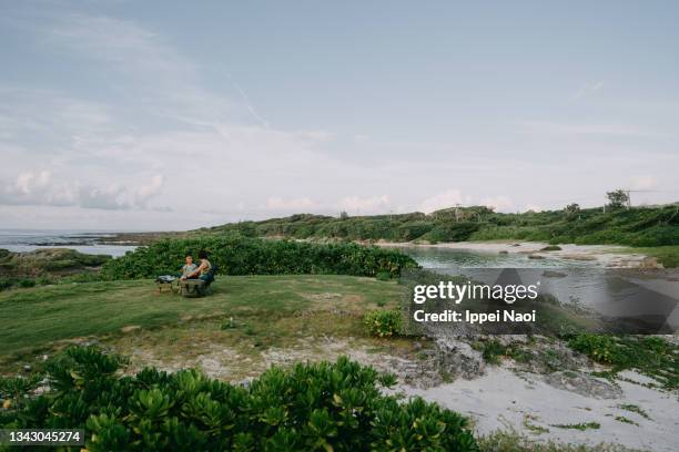 mother and daughter enjoying a picnic by the sea - amami stockfoto's en -beelden