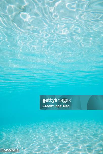 clear blue tropical water with white sand - water surface fotografías e imágenes de stock