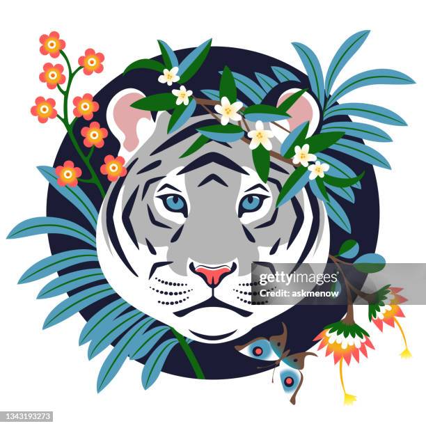 tiger in the jungle - white tiger stock illustrations