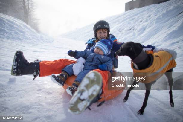 sledding with mom and dog - één ouder stockfoto's en -beelden