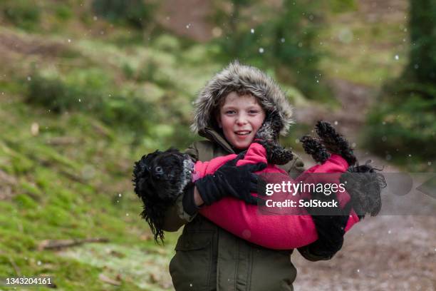 me and my pet - fur glove stock pictures, royalty-free photos & images