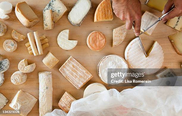 overhead view of hands cutting multiple cheeses - cheese stock pictures, royalty-free photos & images