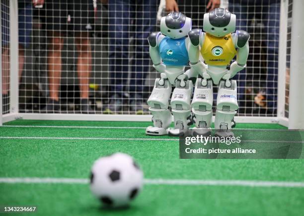June 2023, Saxony, Leipzig: Nao robots play soccer during a training game in a laboratory at the Leipzig University of Applied Sciences . Having...
