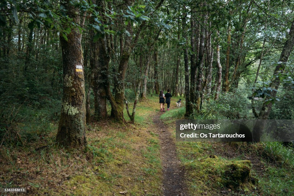 Two teenager girls hiking with a dog in a forest path