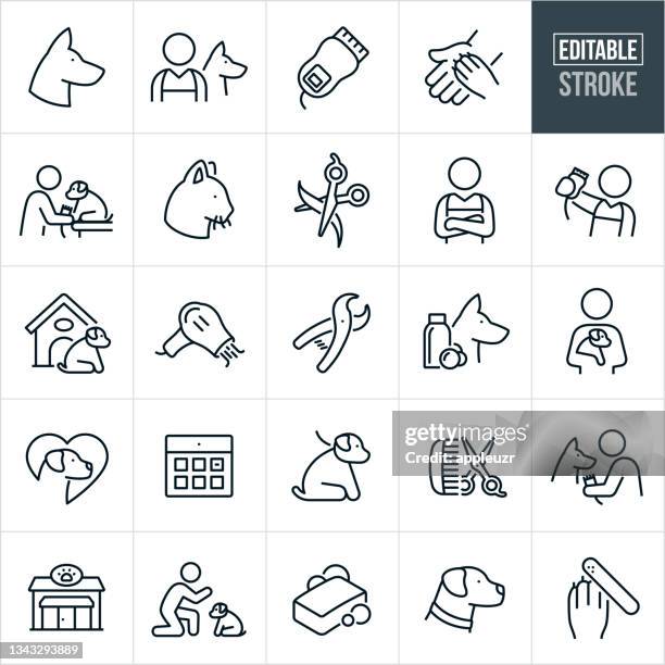 haustierpflege und boarding thin line icons - editierbarer strich - haartrockner stock-grafiken, -clipart, -cartoons und -symbole