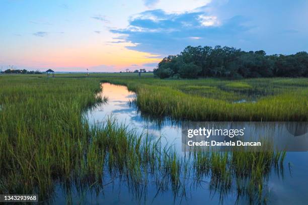 blue hour at the marsh - mount pleasant south carolina stock pictures, royalty-free photos & images