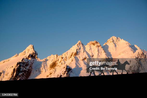 horses on mountain range - bo tornvig photos et images de collection