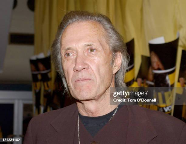 David Carradine during "Kill Bill Vol. 2" - Dublin Premiere at Savoy Cinema in Dublin, Ireland.