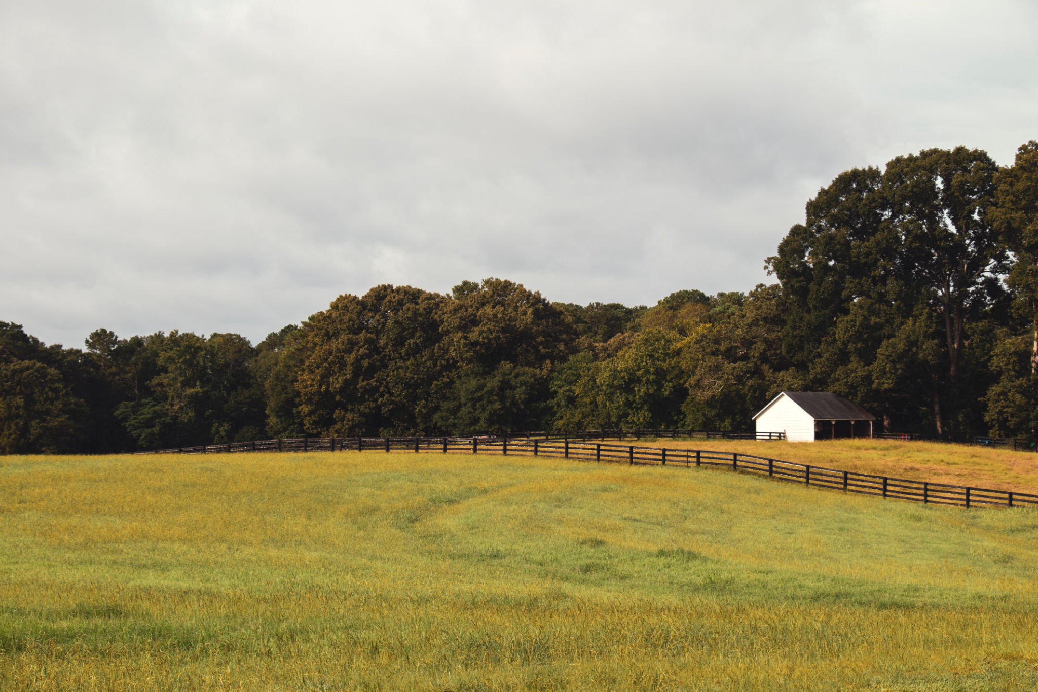 georgia farm
