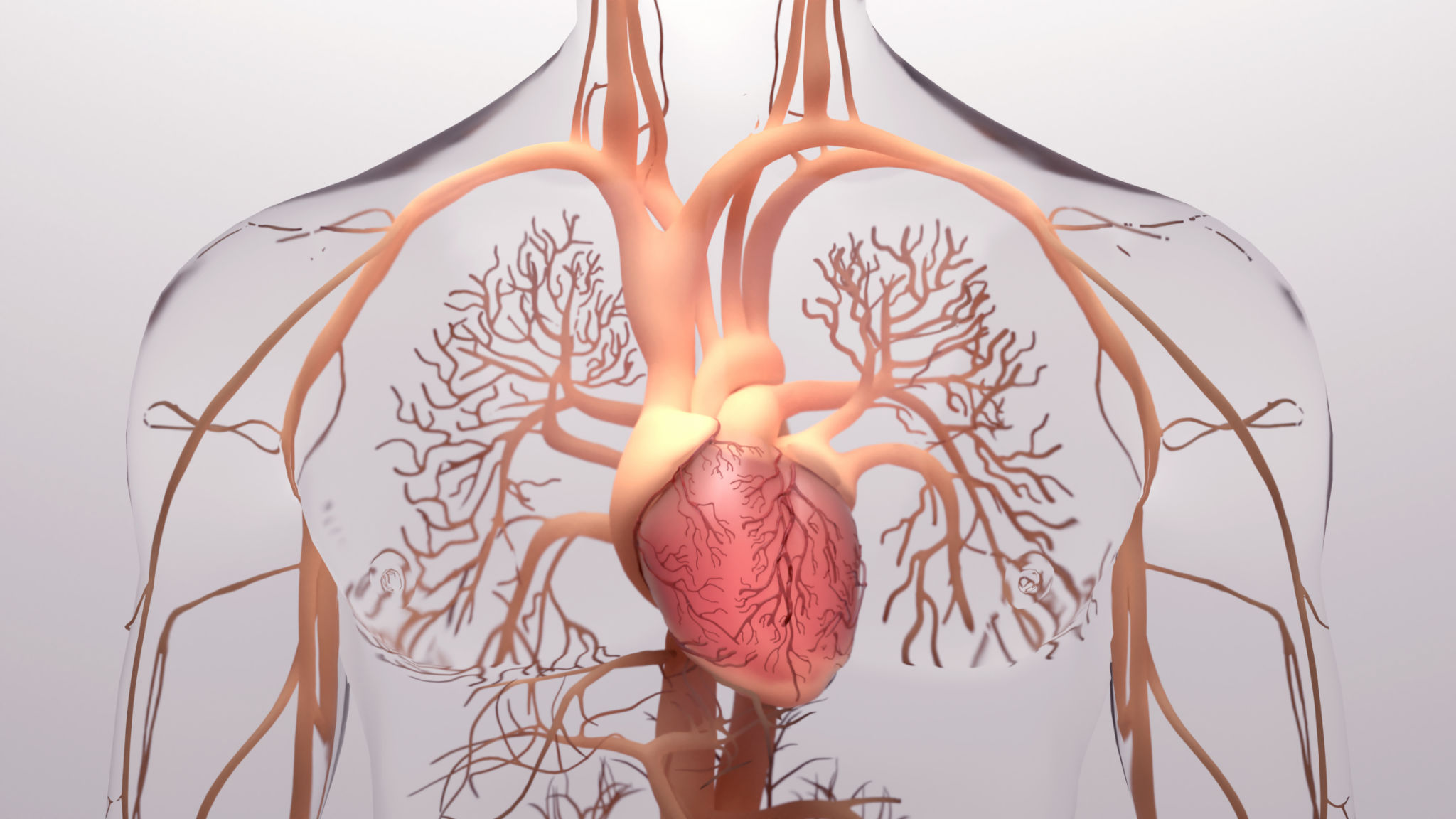 respiratory aid