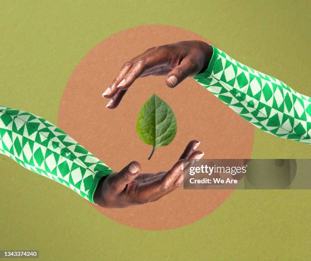 hands surrounding leaf - social responsibility fotografías e imágenes de stock