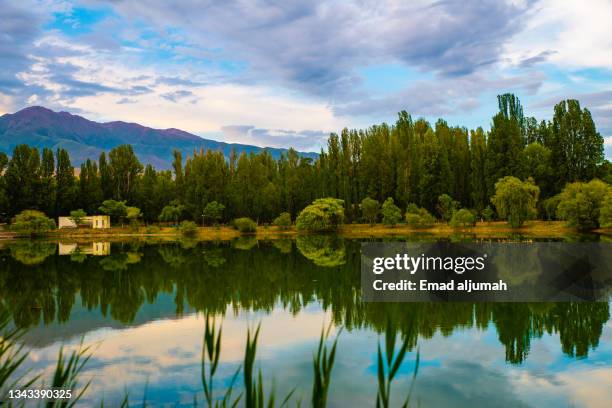 amazing view of the pond, issyk-kul, kyrgyzstan - lake issyk kul stock pictures, royalty-free photos & images