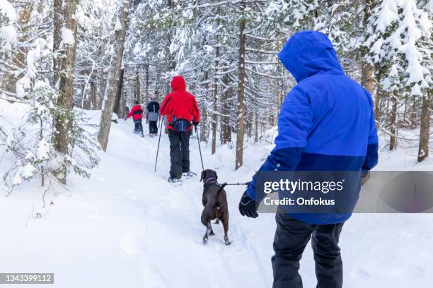 family having fun snowshoeing outdoors in winter - dog following stock pictures, royalty-free photos & images