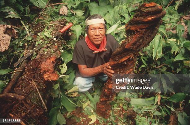 Shaman in the Coafan region prepares ayahuasca, Ecuador, 2009.