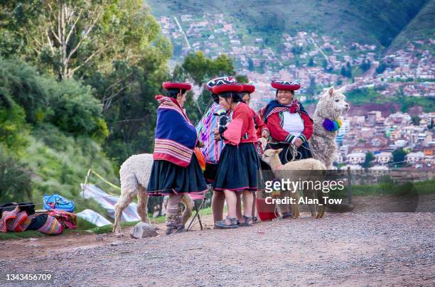 peruanische inka-frau lächelt mit traditioneller andenkleidung und steht zusammen mit alpaka in cusco, peru - bolivianischer abstammung stock-fotos und bilder