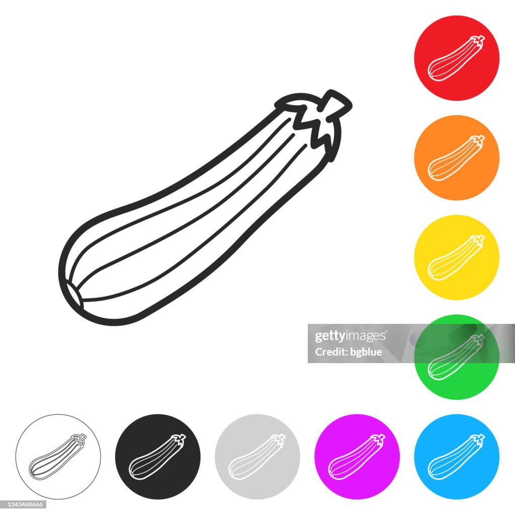 Zucchini or courgette. Flat icons on buttons in different colors