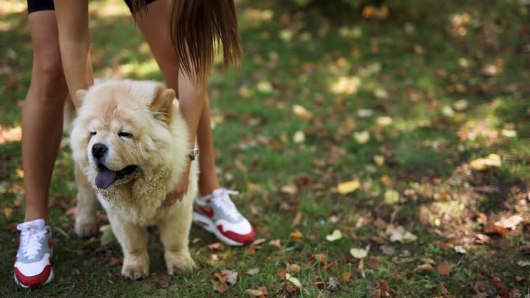 https://media.gettyimages.com/id/1343500330/video/young-woman-cuddle-her-dog.jpg?b=1&s=640x640&k=20&c=uJzoLLEqYUlOCrf4lERpAHImUctRe4iNdG30Rq2pi48=